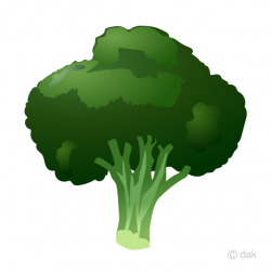 Free Broccoli Clipart Image｜Illustoon