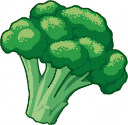 Broccoli clipart 3 » Clipart Station