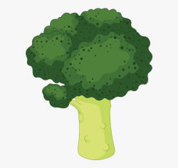 Cute Broccoli Clipart , Png Download - Broccoli Animado Png ...