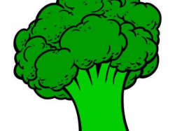 Broccoli clipart green broccoli, Broccoli green broccoli ...