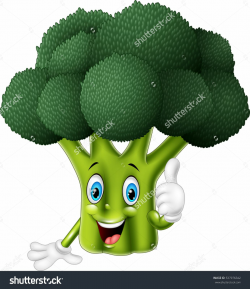 Cartoon broccoli giving thumbs up | Fruit cartoon, Cartoon ...