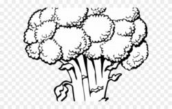 Broccoli Clipart Black And White - Broccoli Coloring Page ...