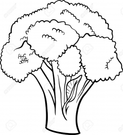 Broccoli clipart black and white 8 » Clipart Station