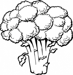 Broccoli clipart black and white | DownloadClipart.org