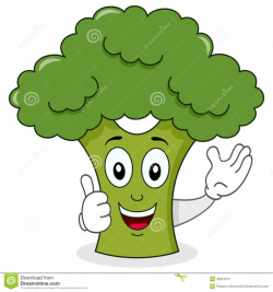 Smiling Broccoli Cute Cartoon Character Royalty Free Stock ...