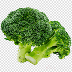 Leaf Cartoon clipart - Vegetable, Food, Plant, transparent ...