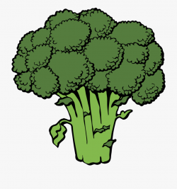 Cabbage Clipart Bok Choy - Broccoli Clipart #659039 - Free ...