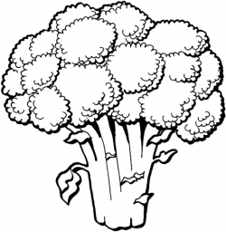 Broccoli clipart coloring book, Broccoli coloring book ...