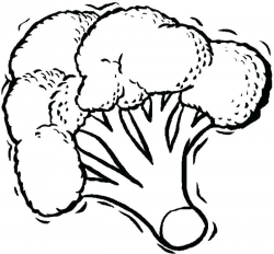 Download for free 10 PNG Broccoli clipart coloring top ...
