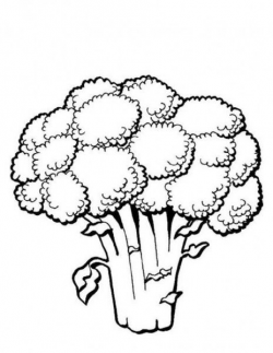 Broccoli clipart coloring page, Broccoli coloring page ...