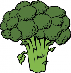 Broccoli clip art Free vector in Open office drawing svg ...