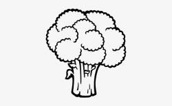 Broccoli Drawing Clipart - Black And White Broccoli Clip Art ...