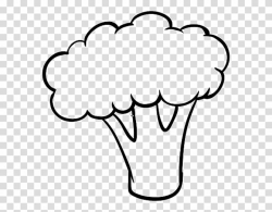 Broccoli Cauliflower Drawing , broccoli transparent ...