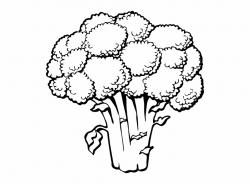 Broccoli clipart black and white, Broccoli black and white ...