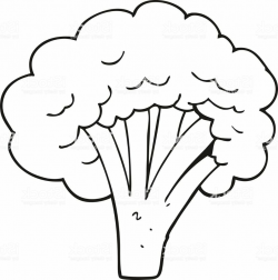 Broccoli clipart dark, Broccoli dark Transparent FREE for ...