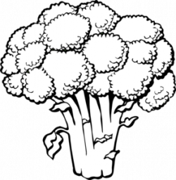 Broccoli Clip Art at Clker.com - vector clip art online ...