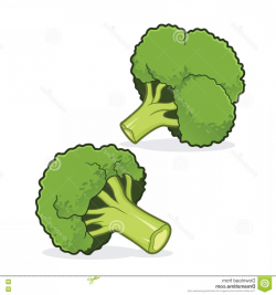 Broccoli Clipart – Free Clipart Images