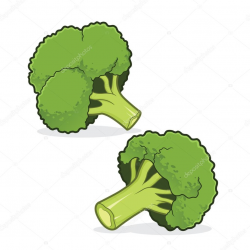 Broccoli Clipart for you – Free Clipart Images