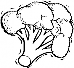 Broccoli clipart sketch, Broccoli sketch Transparent FREE ...