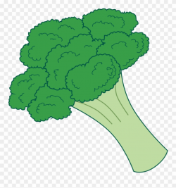 Clip Arts Related To - Broccoli Clipart Transparent ...