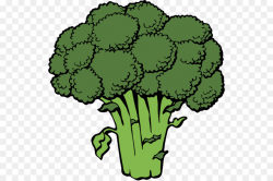 Broccoli clipart dark, Broccoli dark Transparent FREE for ...