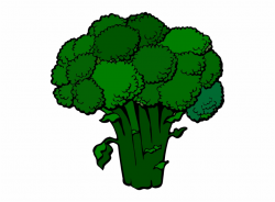 Download for free 10 PNG Broccoli clipart top images at ...