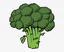 Png Free Stock Vegetable Free Broccoli Clip Art Vector ...