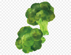 Green Leaf Watercolor
