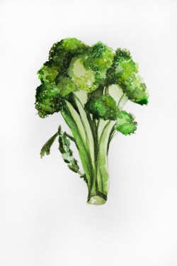 Celery clipart watercolor, Celery watercolor Transparent ...