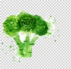 Broccoli slaw Poster Watercolor painting, Drawing cartoon ...