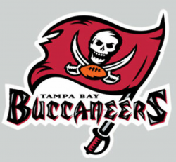 Details about Tampa Bay Buccaneers Team Logo Stickers