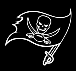 Tampa Bay Buccaneers Logo Window Wall Door Car Truck SUV Vinyl Sticker  Decal V01