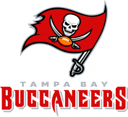 Brand New: New Logo, Identity, and Helmet for Tampa Bay ...
