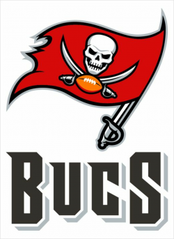 Tampa Bay Buccaneers | Buccaneers football, Tampa bay ...