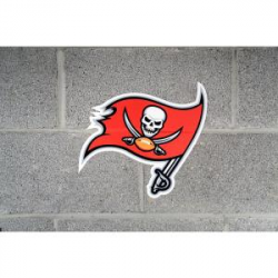 NFL Tampa Bay Buccaneers Outdoor Logo Graphic- Small
