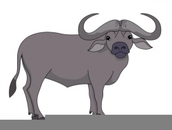 Cape Buffalo Clipart | Free Images at Clker.com - vector ...