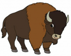 Free Buffalo Cliparts, Download Free Clip Art, Free Clip Art ...