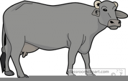 Buffalo Clipart Free | Free Images at Clker.com - vector ...