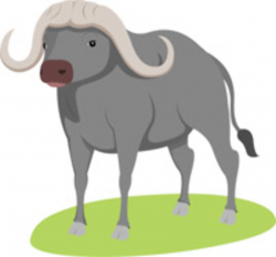 Free Buffalo Clipart - Clip Art Pictures - Graphics ...