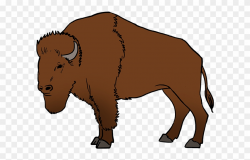 How To Draw Buffalo - Draw A Buffalo Clipart (#1579445 ...