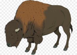 Bison clipart american bison, Bison american bison ...