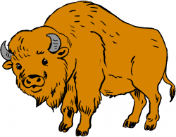 Free Bison Cliparts, Download Free Clip Art, Free Clip Art ...