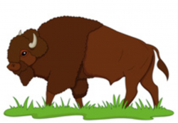 Free Buffalo Clipart - Clip Art Pictures - Graphics ...