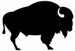 Free Buffalo Clipart, Download Free Clip Art, Free Clip Art ...