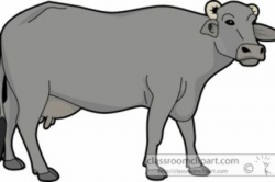Buffalo clipart carabao, Buffalo carabao Transparent FREE ...