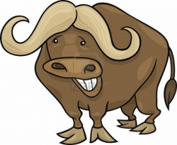 Free Cartoon Buffalo, Download Free Clip Art, Free Clip Art ...