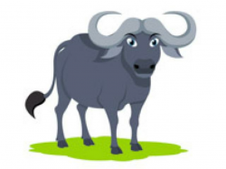 Buffalo clipart water buffalo, Buffalo water buffalo ...