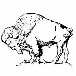 Buffalo | Art - CLIP Art LINE DRAWINGS /Sketching LINE ...