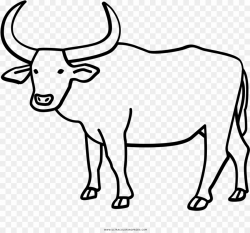 Ox Black And White PNG Water Buffalo Drawing Clipart ...
