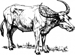 Buffalo clip art Free vector in Open office drawing svg ...